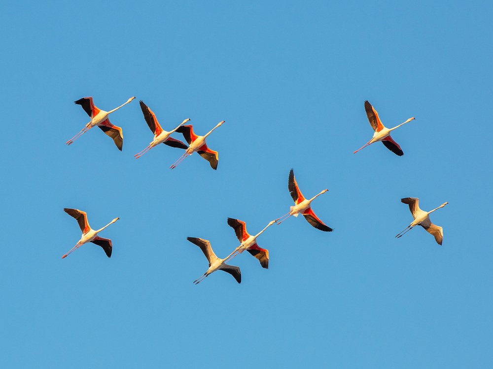 Photograph by Наталья Валевская