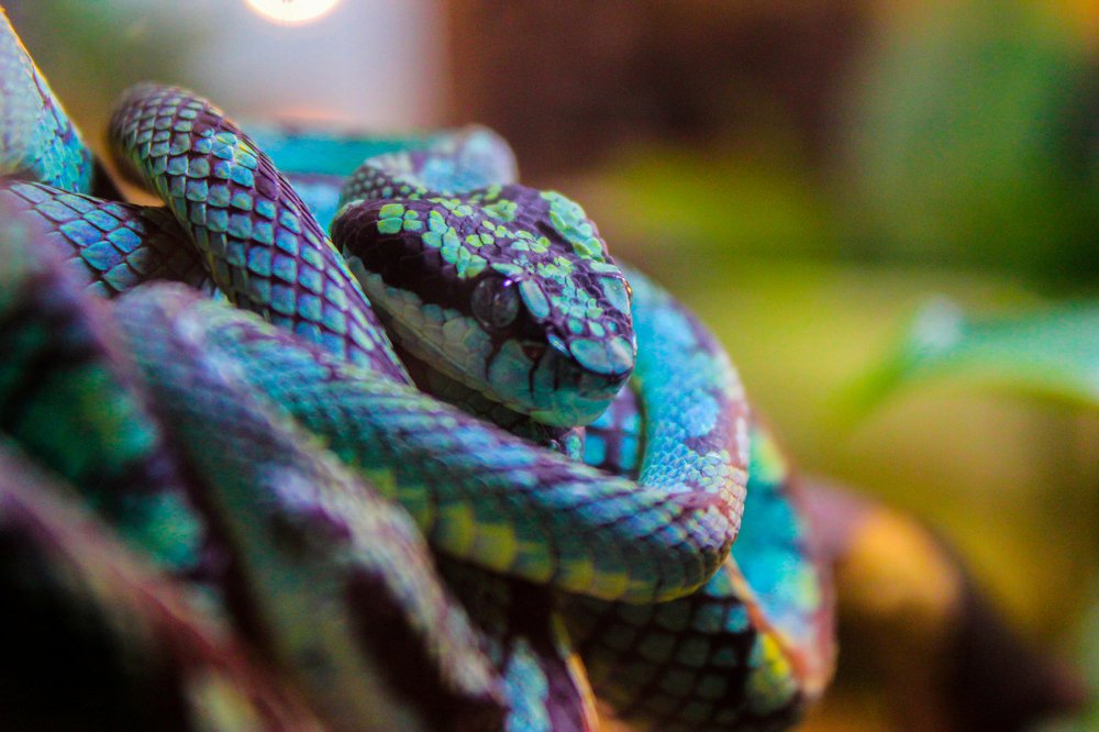 Photograph by elammouni othmane