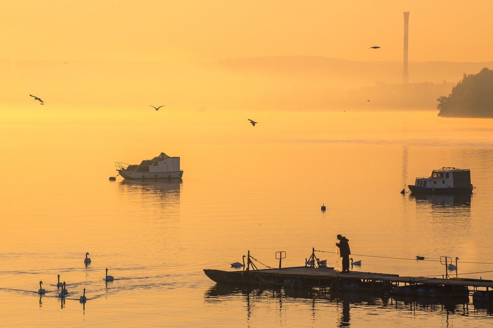 Photograph by Bojan Dzodan