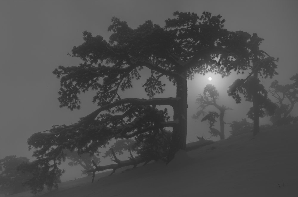 Когда солнце становится луной