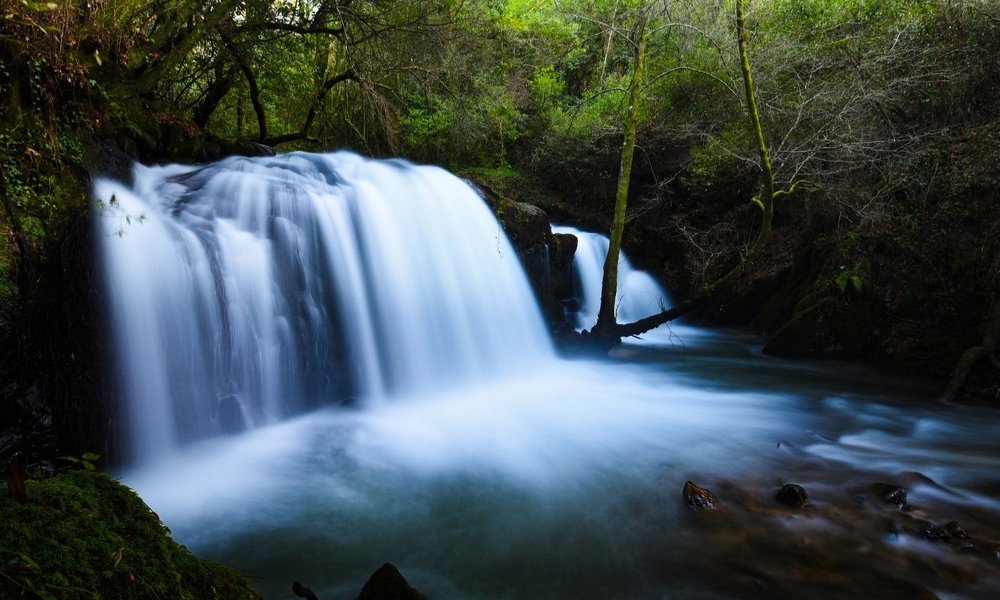 Photograph by Василь Гуцал