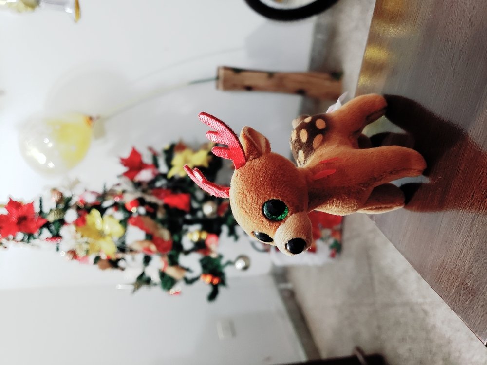 Photo #4140188
