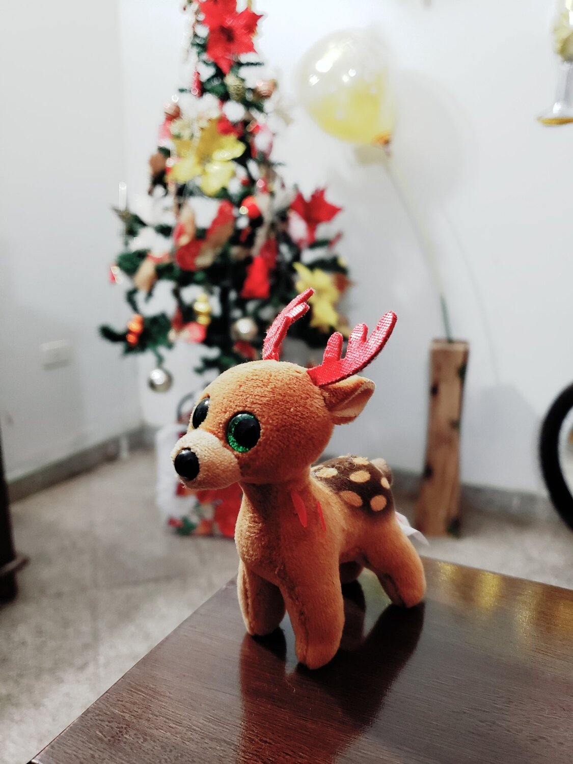 Photo #4140188