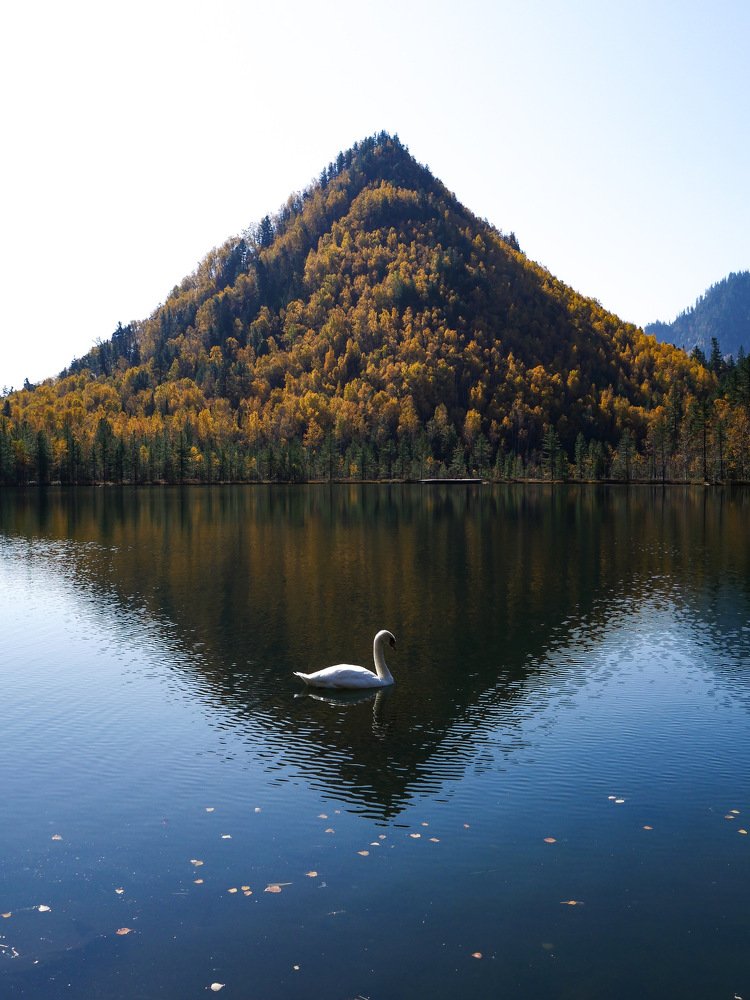 Photograph by Алеся Дей