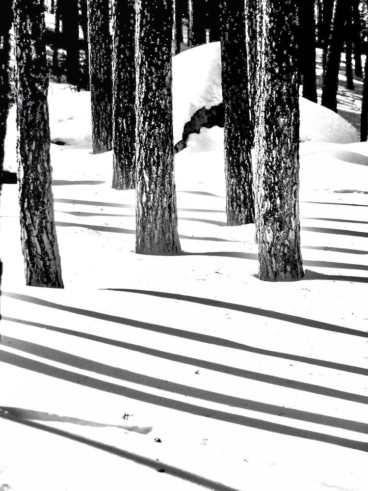 Полосатая зима