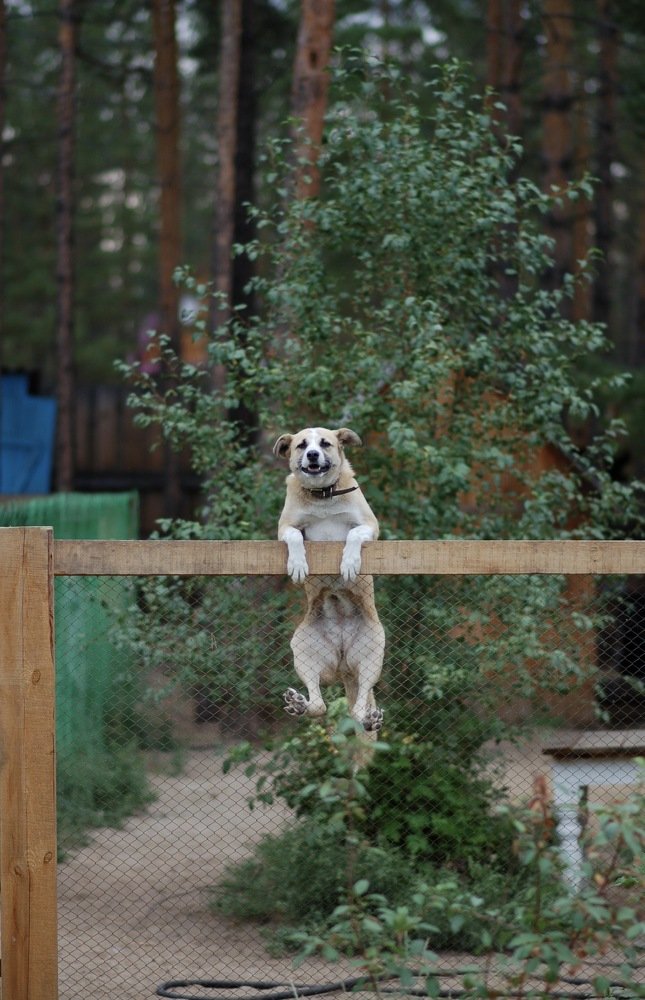 Photograph by Алеся Дей