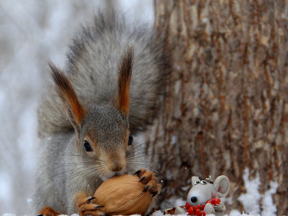 С 2020 годом!!!