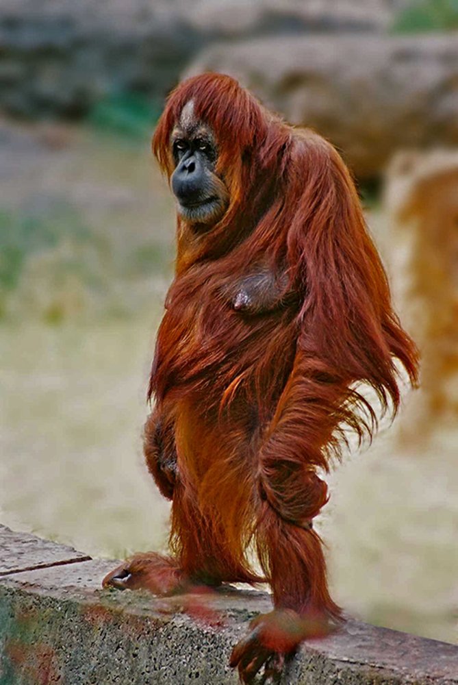 Photograph by Gregory Khatin