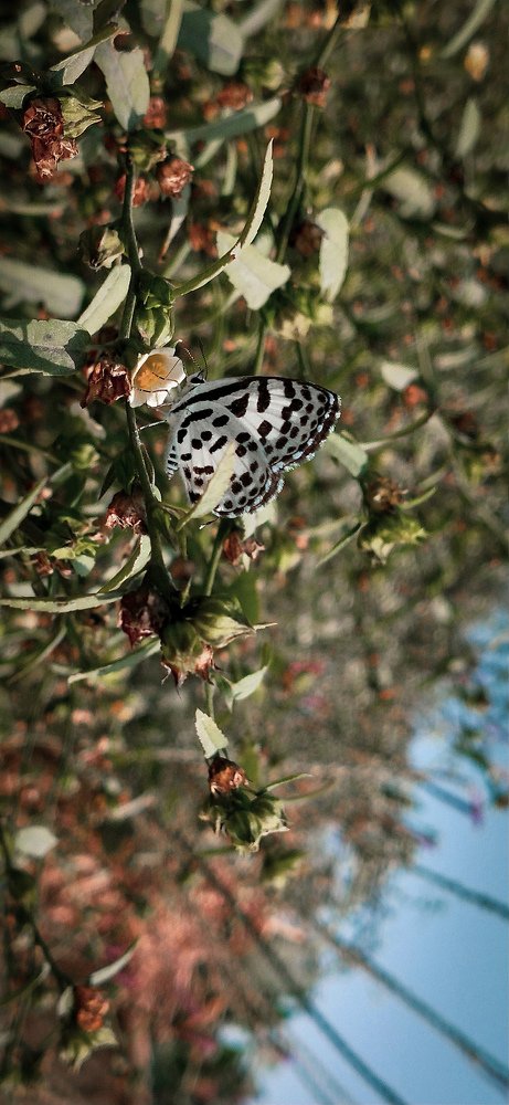 Photograph by Ankan De