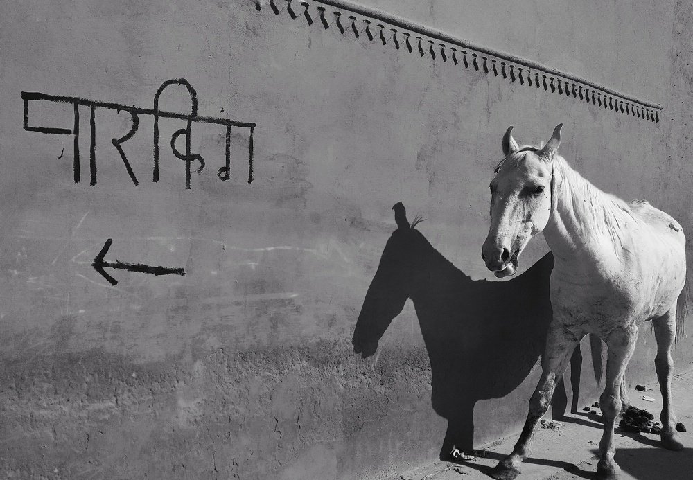 Photograph by Vijay Raj