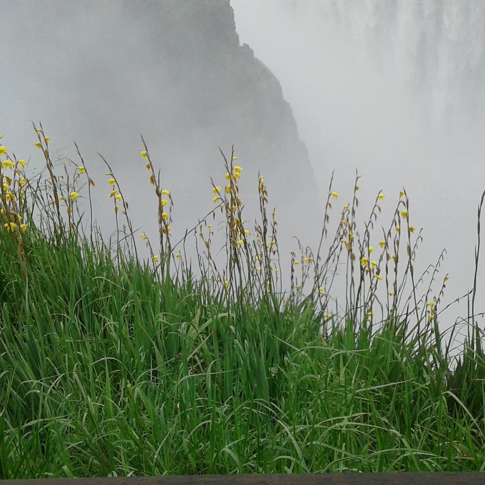 Photograph by Patson Chifumbe