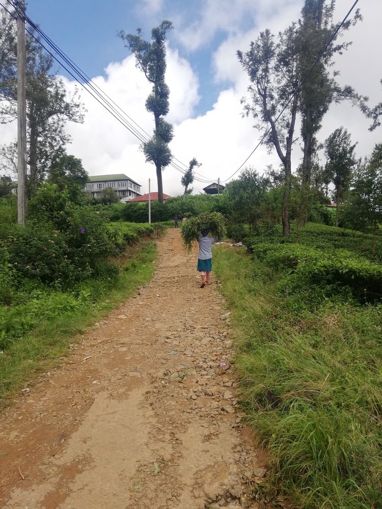Daily life in the village
