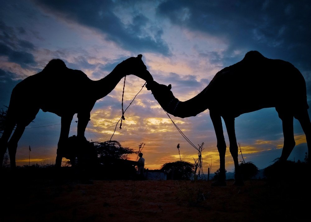 Photograph by Vijay Raj