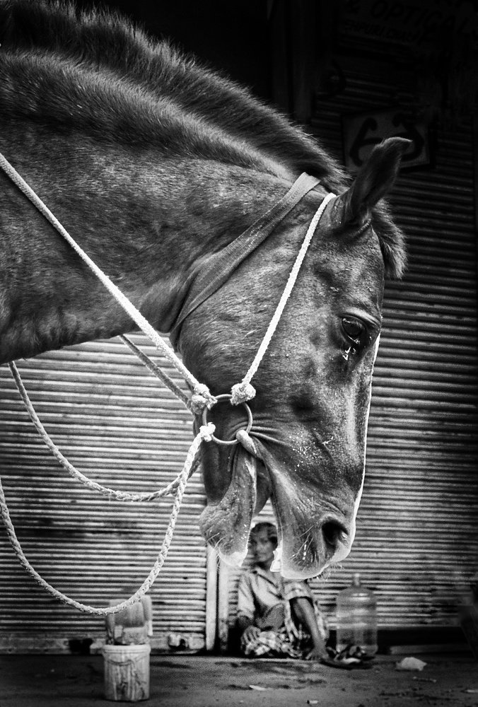 Photograph by Vijay Raj