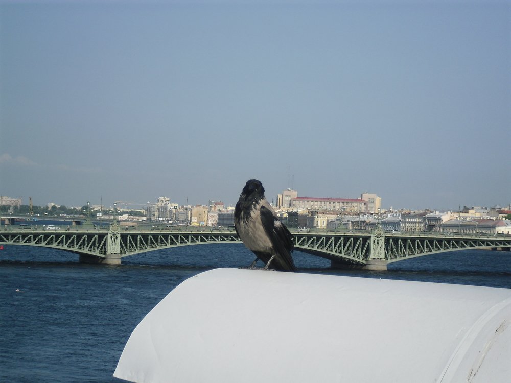 Photograph by Ольга Шевцова