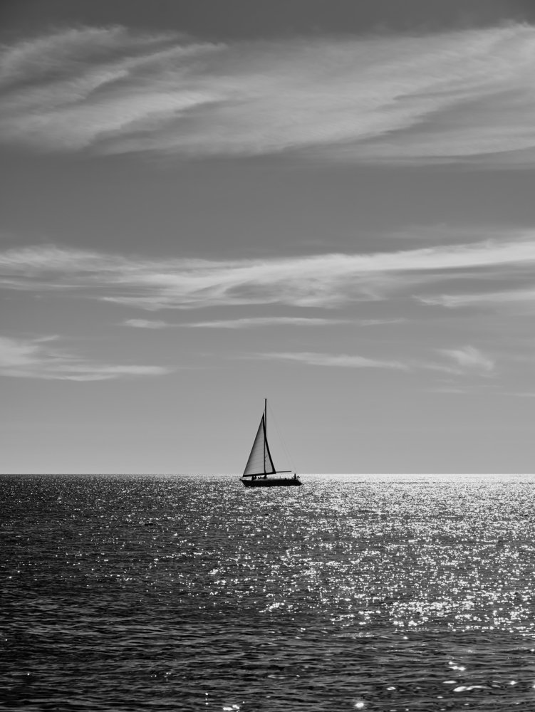 Sail away ...