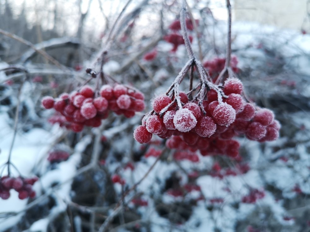 Photograph by Караев Борис