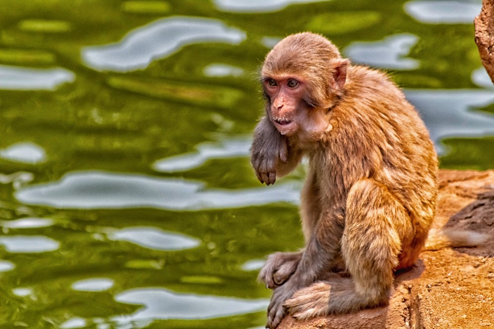 Photograph by Мари Полищук