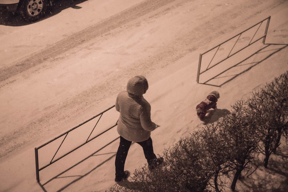 Photograph by Евгения Калашникова