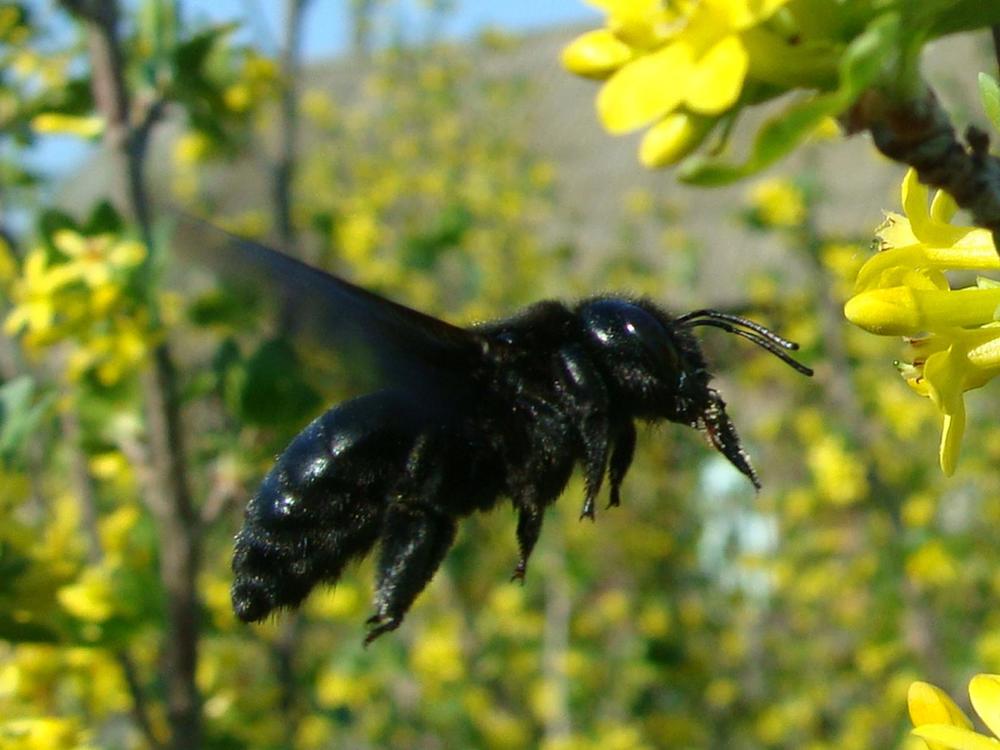 Фотография автора Павел Попов