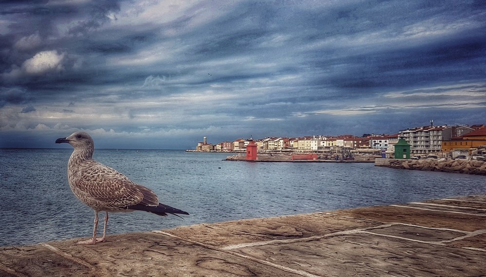 Photograph by Mojca Rebol