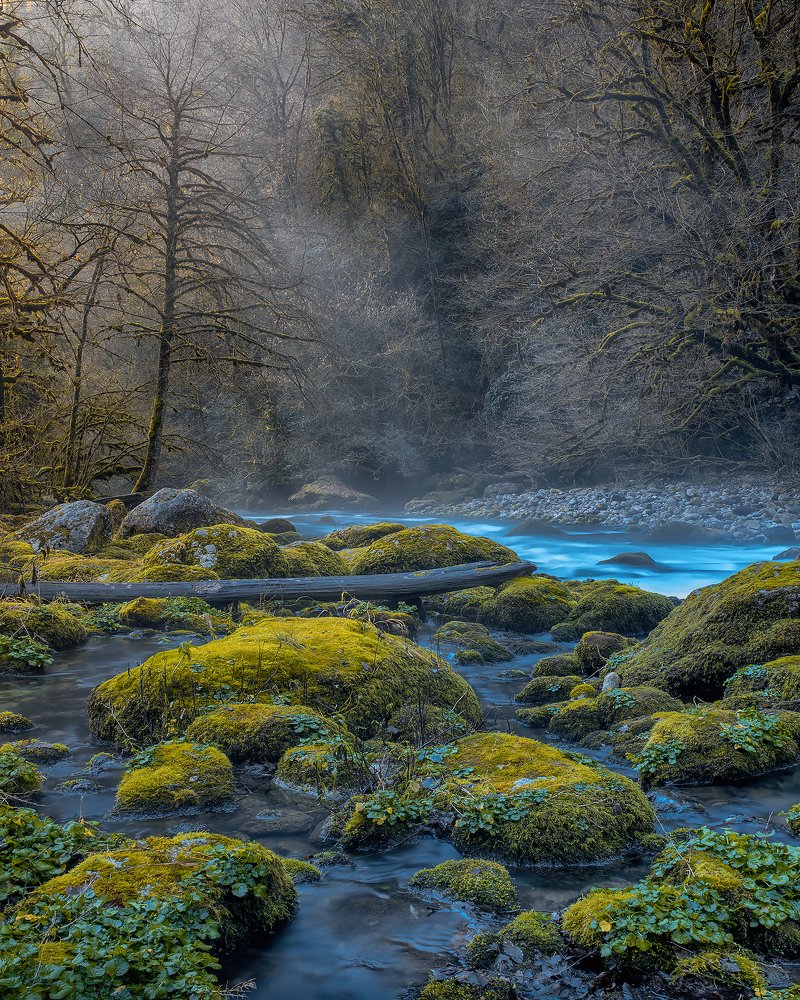 Photograph by Sergey Lexin