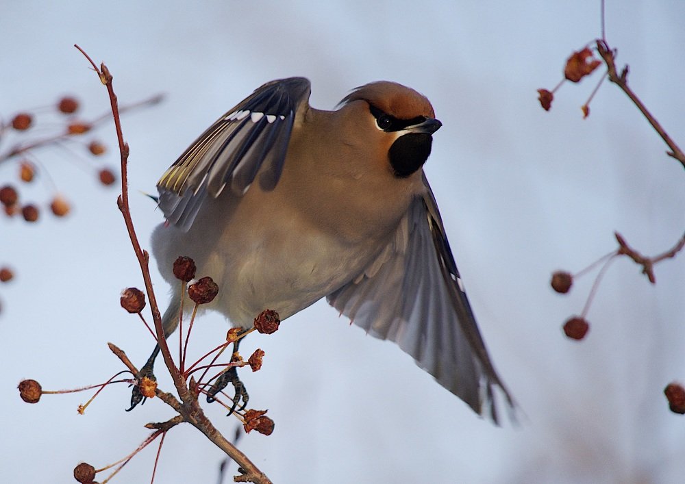 Photograph by @bersenika