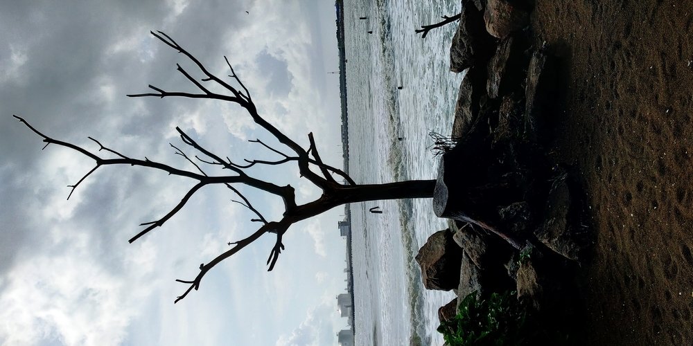 Photograph by Arjun Nair