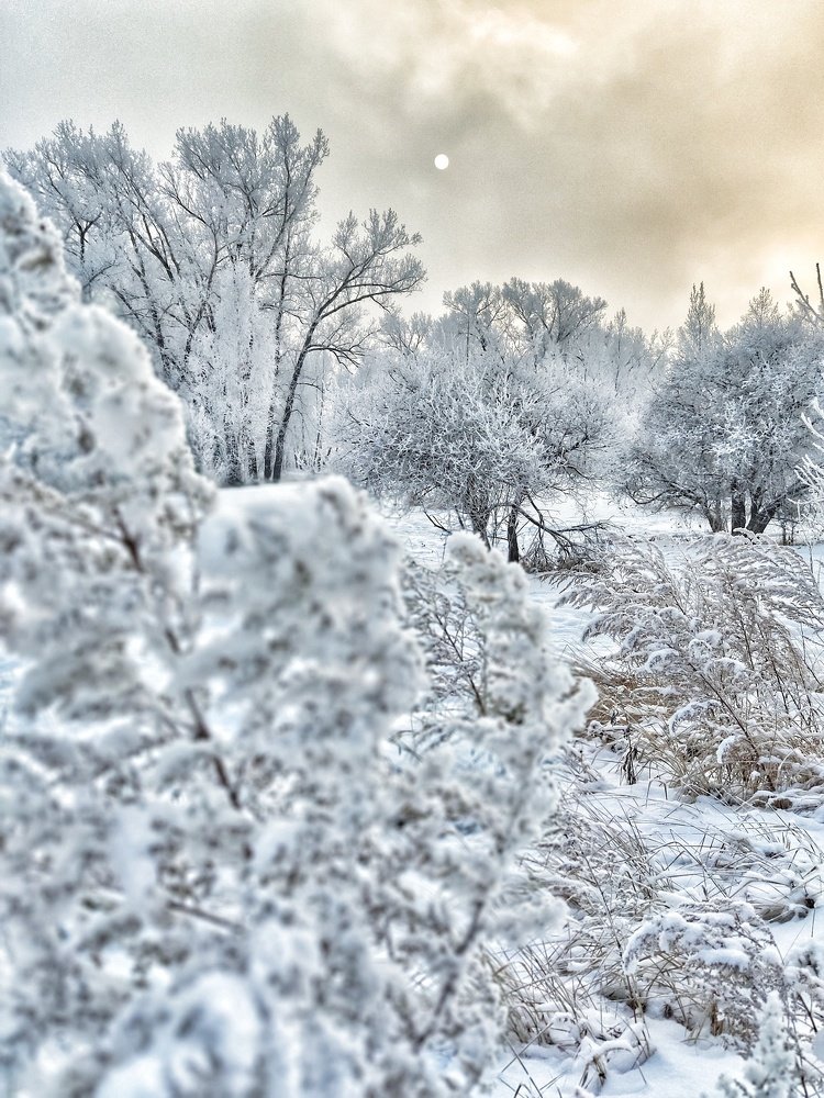Photograph by Татьяна Лисянская