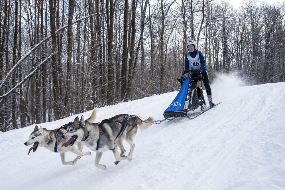 Photograph by Андрей Пшеничников