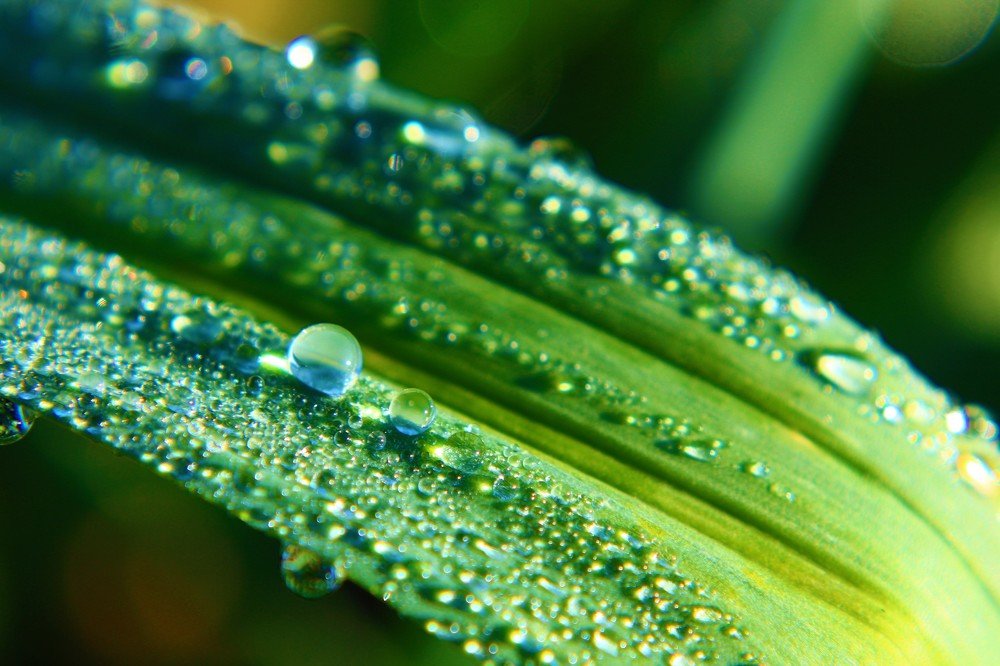 Photograph by Наталья Попова