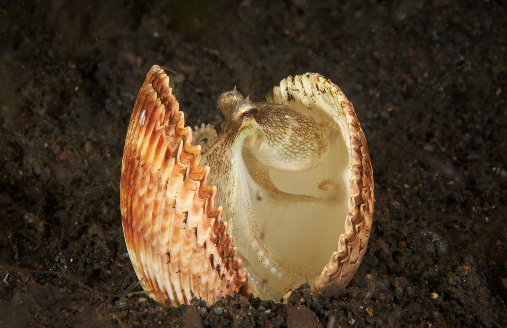 Photograph by Наталия Маслова