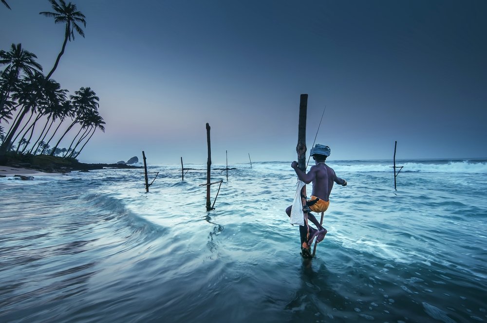Фотография автора Димитрий Евтушик