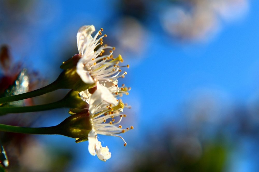 Photograph by Наталья Попова