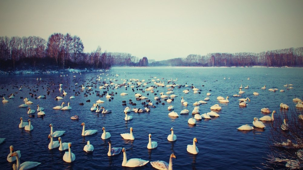 Photograph by Наталья Попова