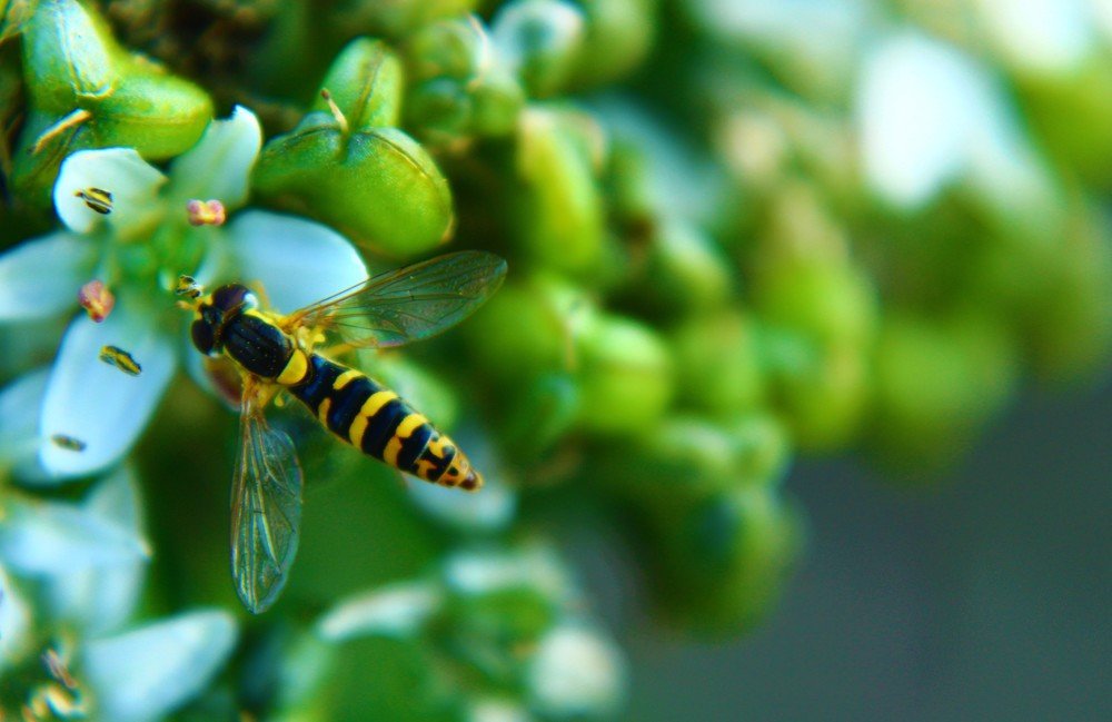 Photograph by Наталья Попова