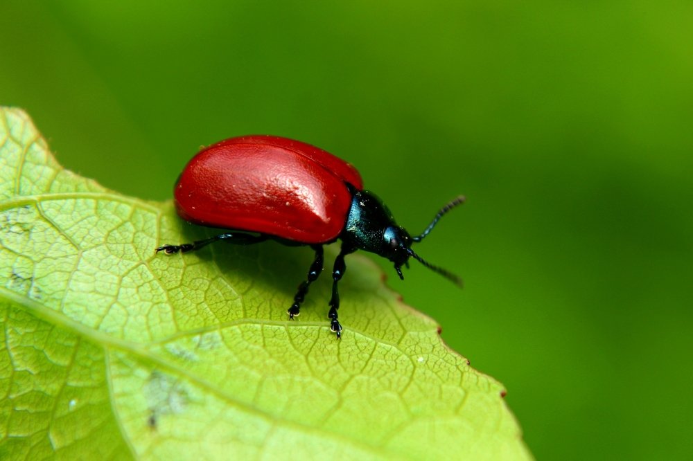 Photograph by Наталья Попова