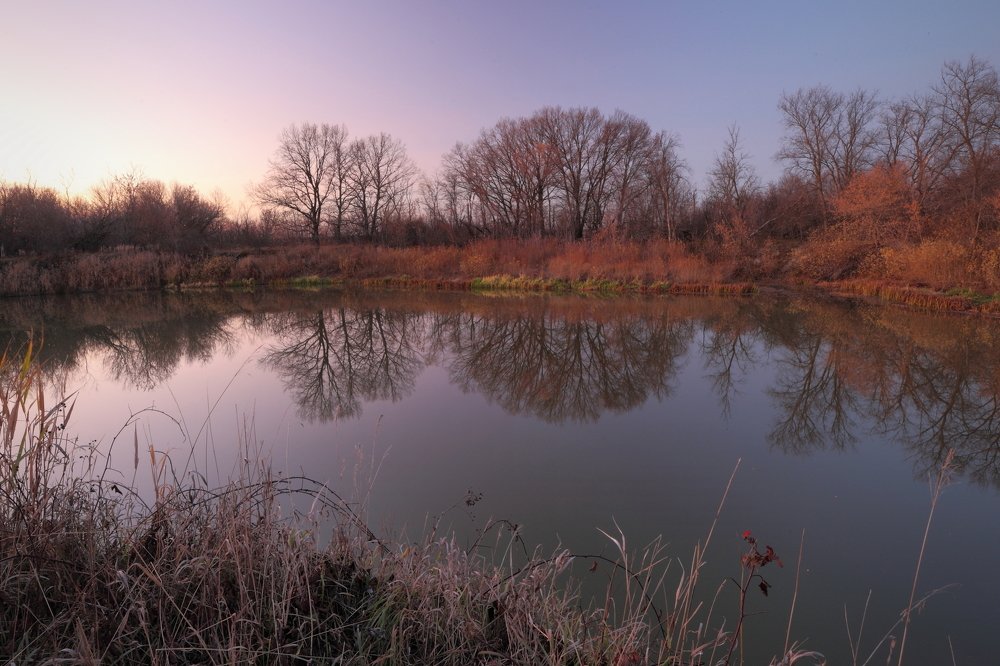 Photograph by Сергей Подгоров