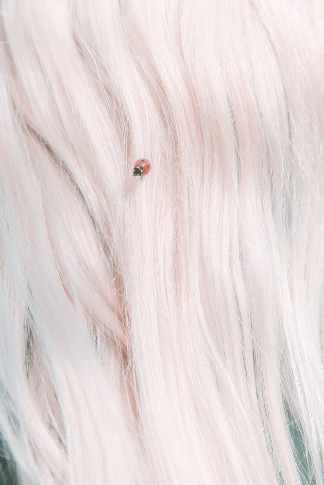 Фотография автора Дарья Дар