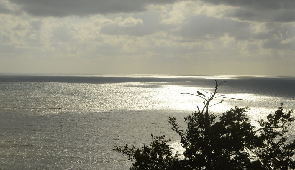 Перед штормом