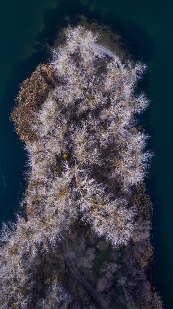 Photograph by Сергей Лазуткин