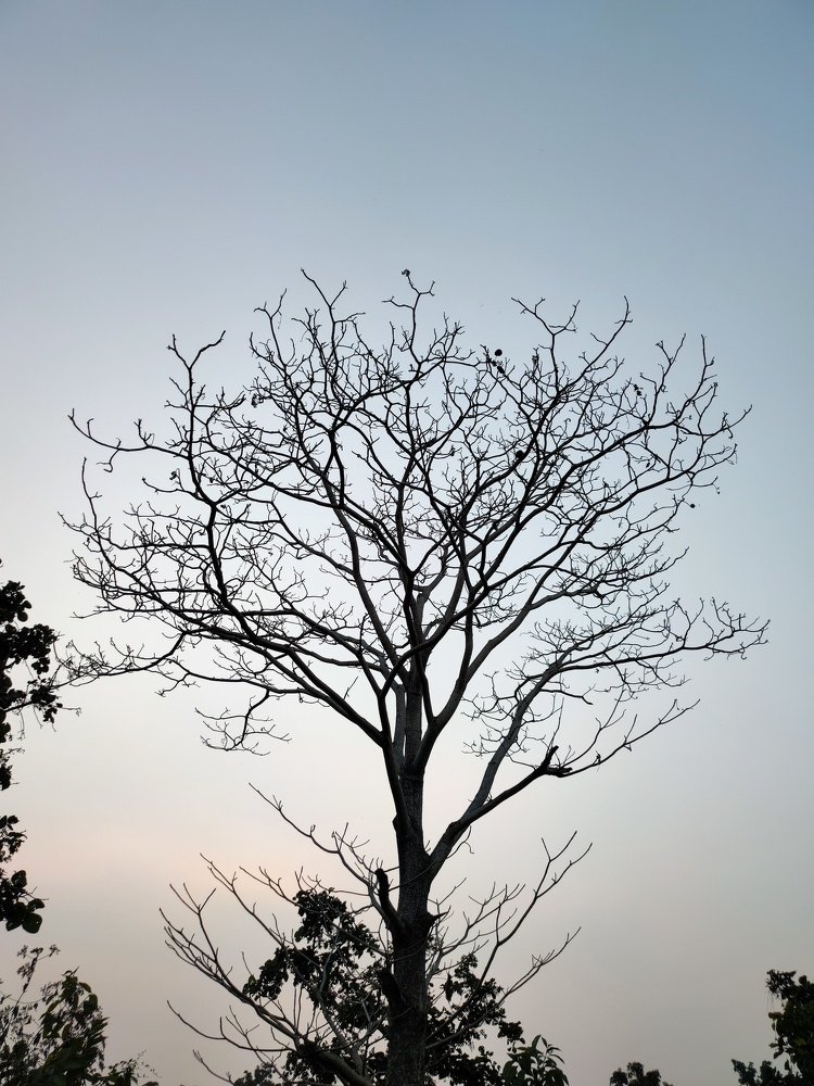 Photograph by Saurav Gupta