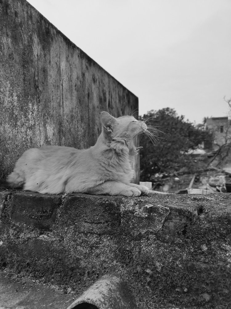 Photograph by Saurav Gupta