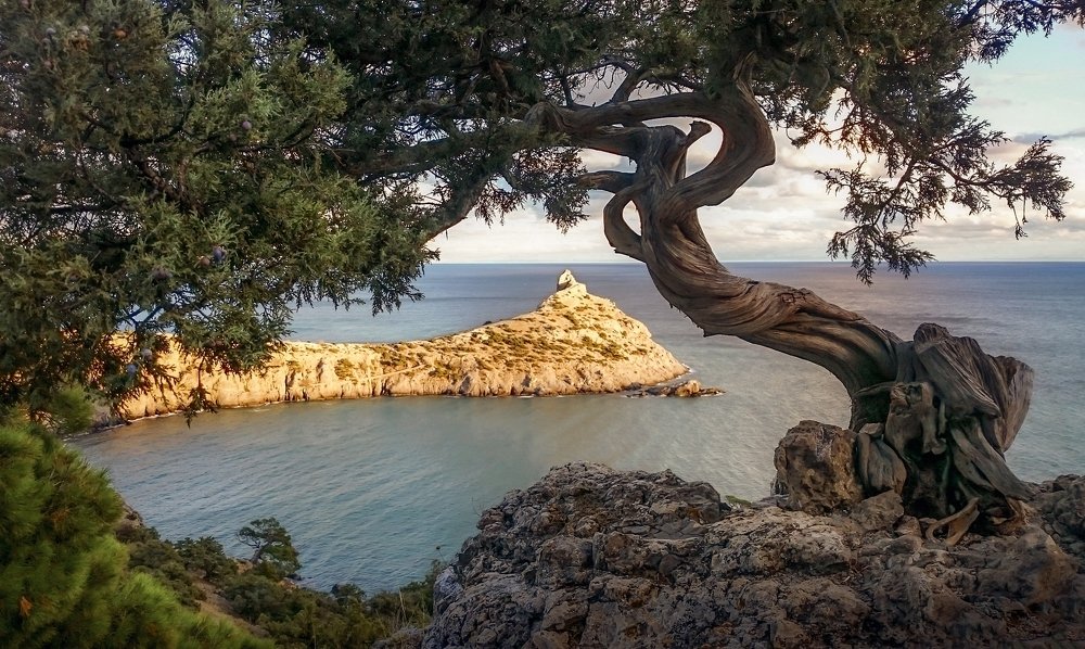 Классика телефоном