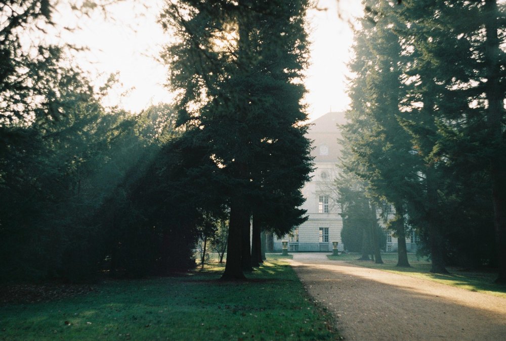 Photo #4142093