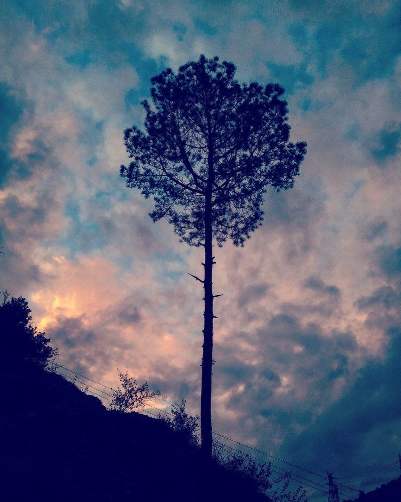 Photograph by Utkarsh Chauhan