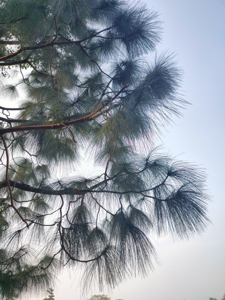 Photograph by Saurav Gupta