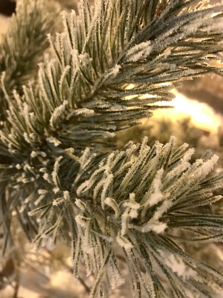 Photograph by Анар Амирова