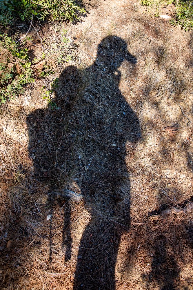 Photograph by Владислав Кучинский