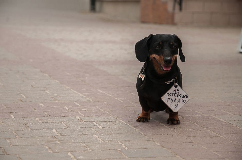 Photograph by Сергей Базовой